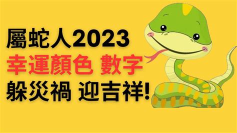 2023屬蛇錢包顏色